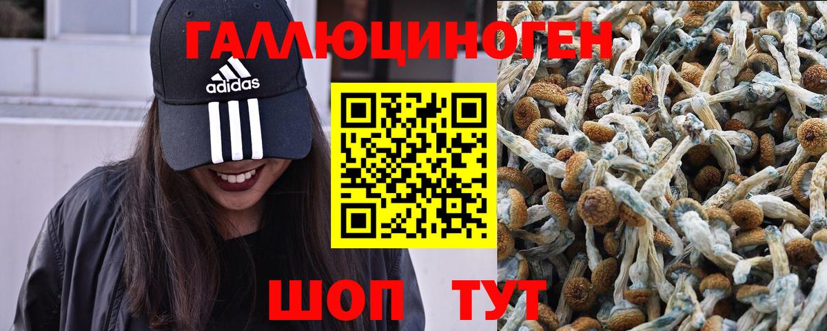 Псилоцибиновые грибы GOLDEN TEACHER  Вход с VPN  Псилоцибиновые грибы мухоморы  Бугуруслан 